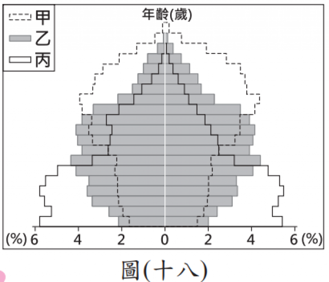 人口金字塔